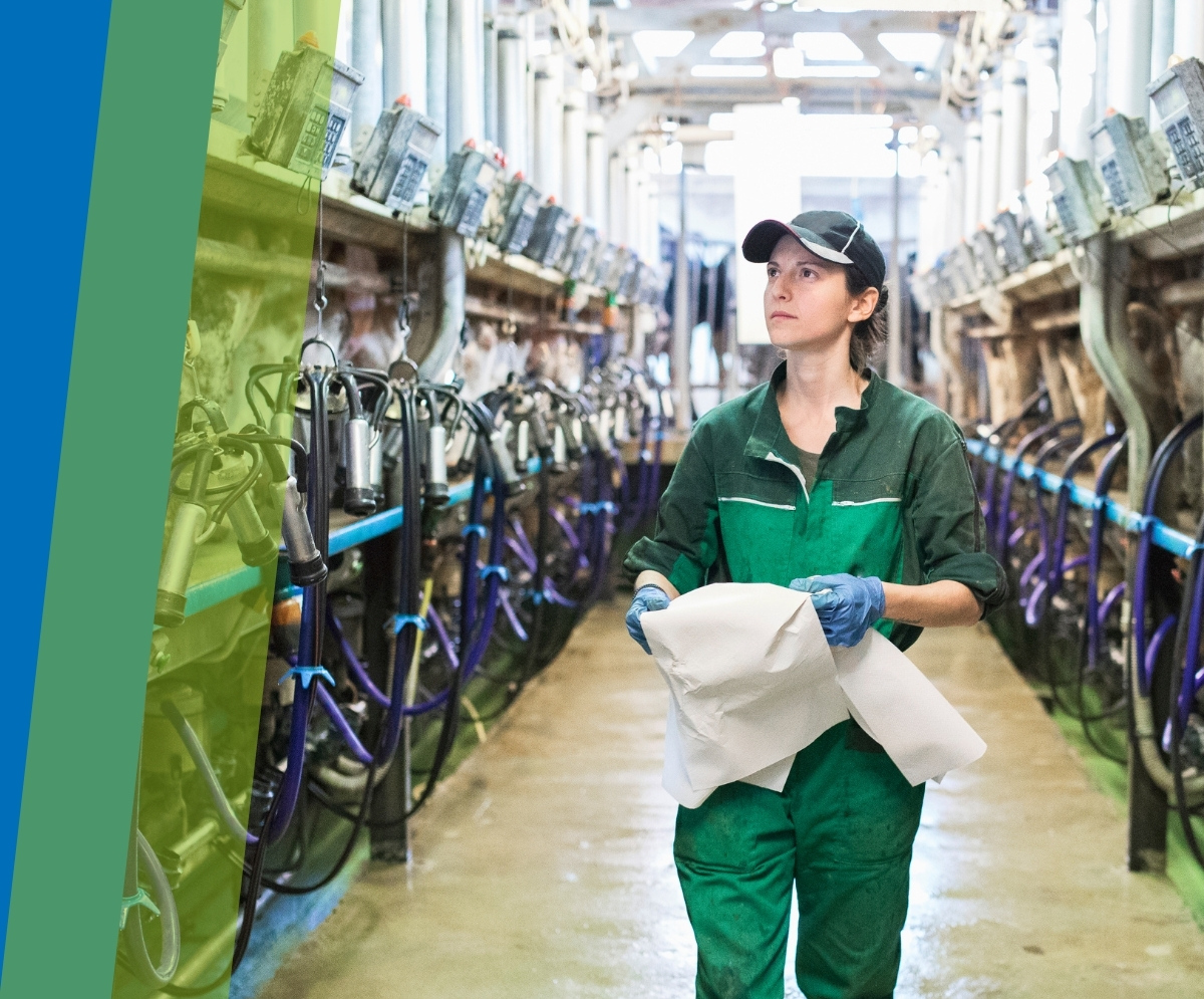 Macchine per la mungitura