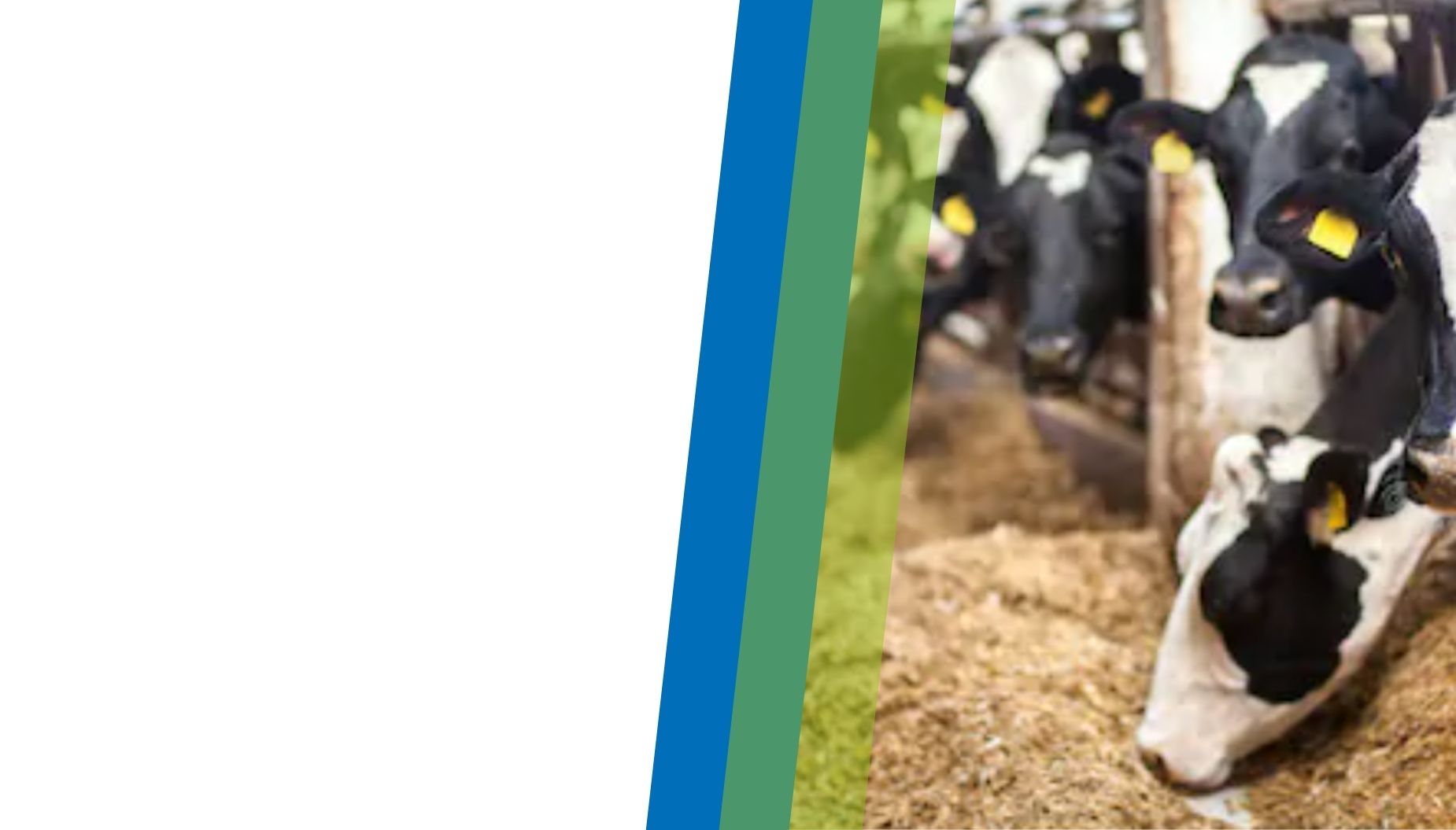 MUNGERE, <br>LA VOSTRA PASSIONE