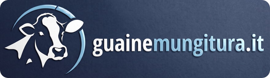 guainemungitura.it
